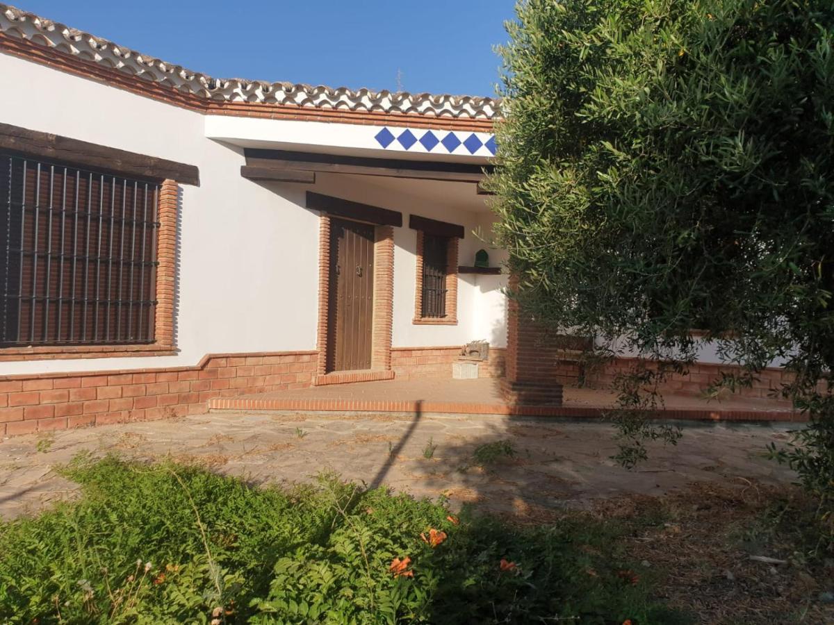 Villa El Mirador Algodonales Eksteriør billede